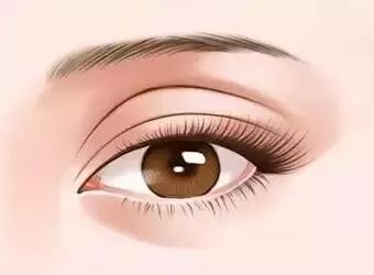 美杜莎和普通双眼皮区别,美杜莎双眼皮什么样?插图 图片